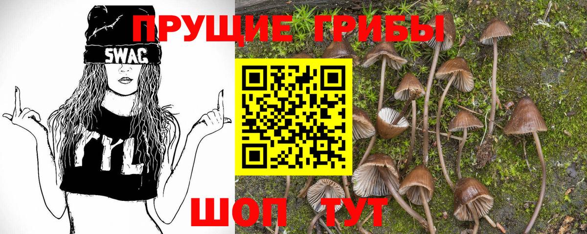 Усинск  Галлюциногенные грибы Psilocybe  Вход с VPN 