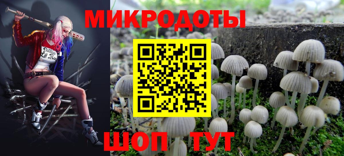 Псилоцибиновые грибы Cubensis Усинск